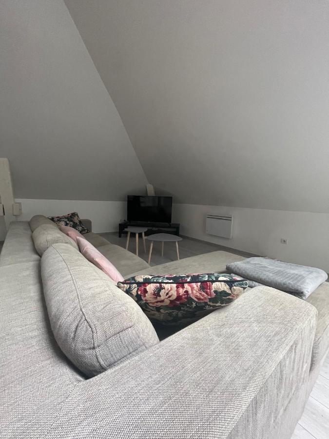 Dream Loft Appartement Colmar Buitenkant foto